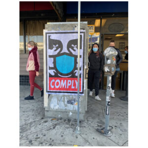 COMPY - 28x22